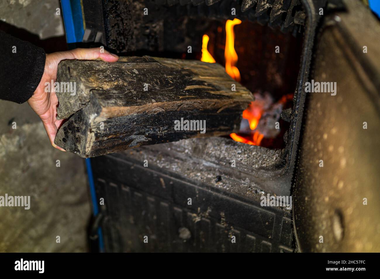 A piece of wood put into the fireplace by hand. Stock Photo