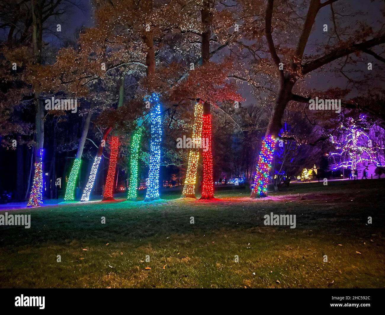 Trunks wrapped hires stock photography and images Alamy