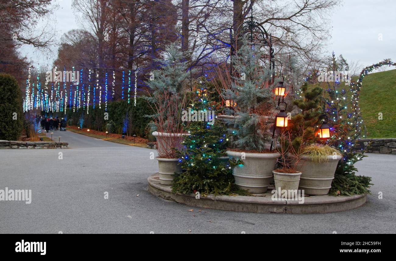 outdoor Christmas display, potted plants, lanterns, hanging string lights, blue, light green, white, festive, holiday decorations, dusk, Pennsylvania, Stock Photo