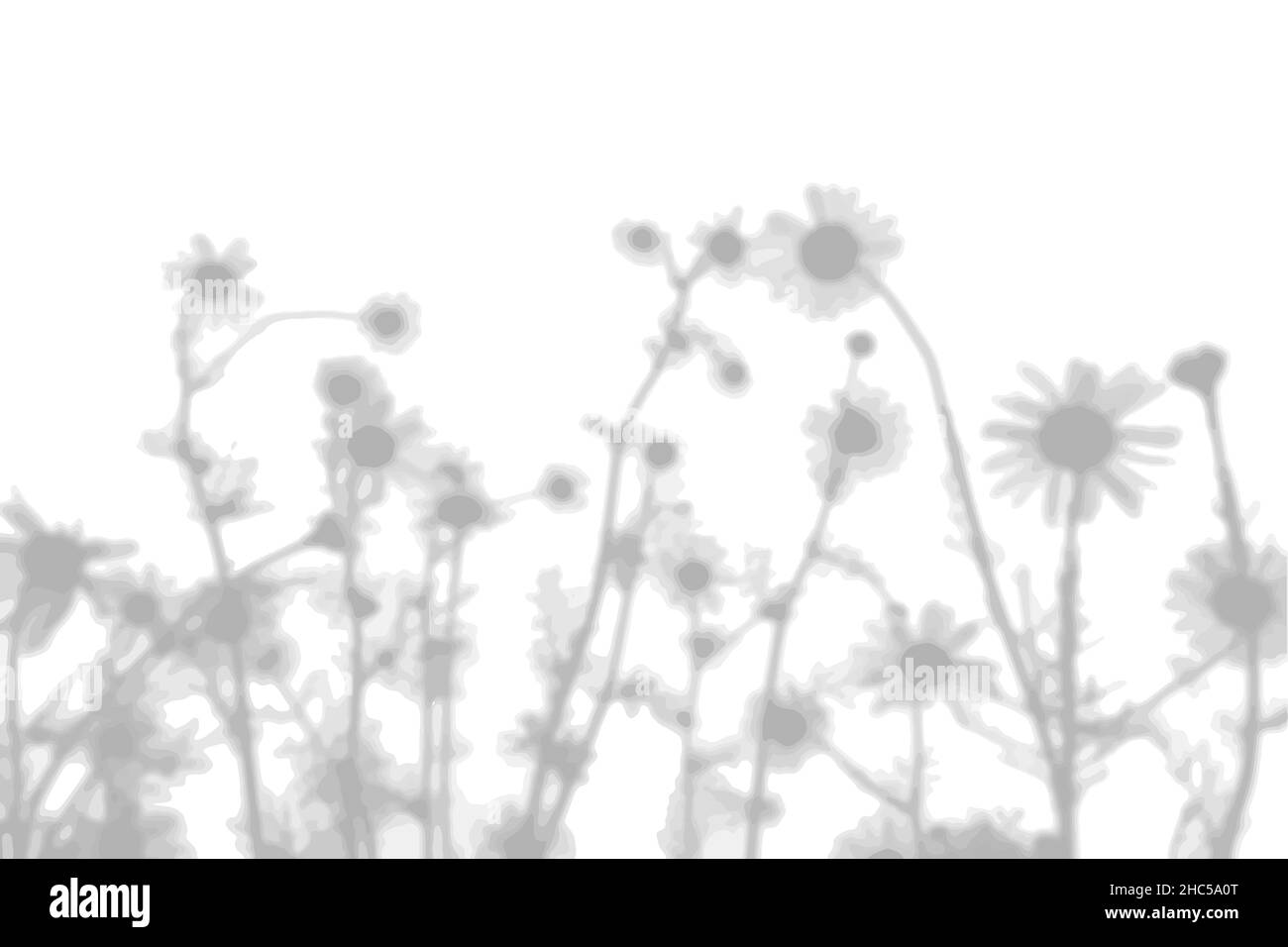 Flowers and shadows Stock Vector Images - Page 2 - Alamy