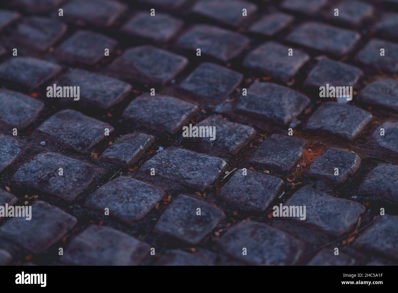 Closeup shot of details on a cobblestone road Stock Photo