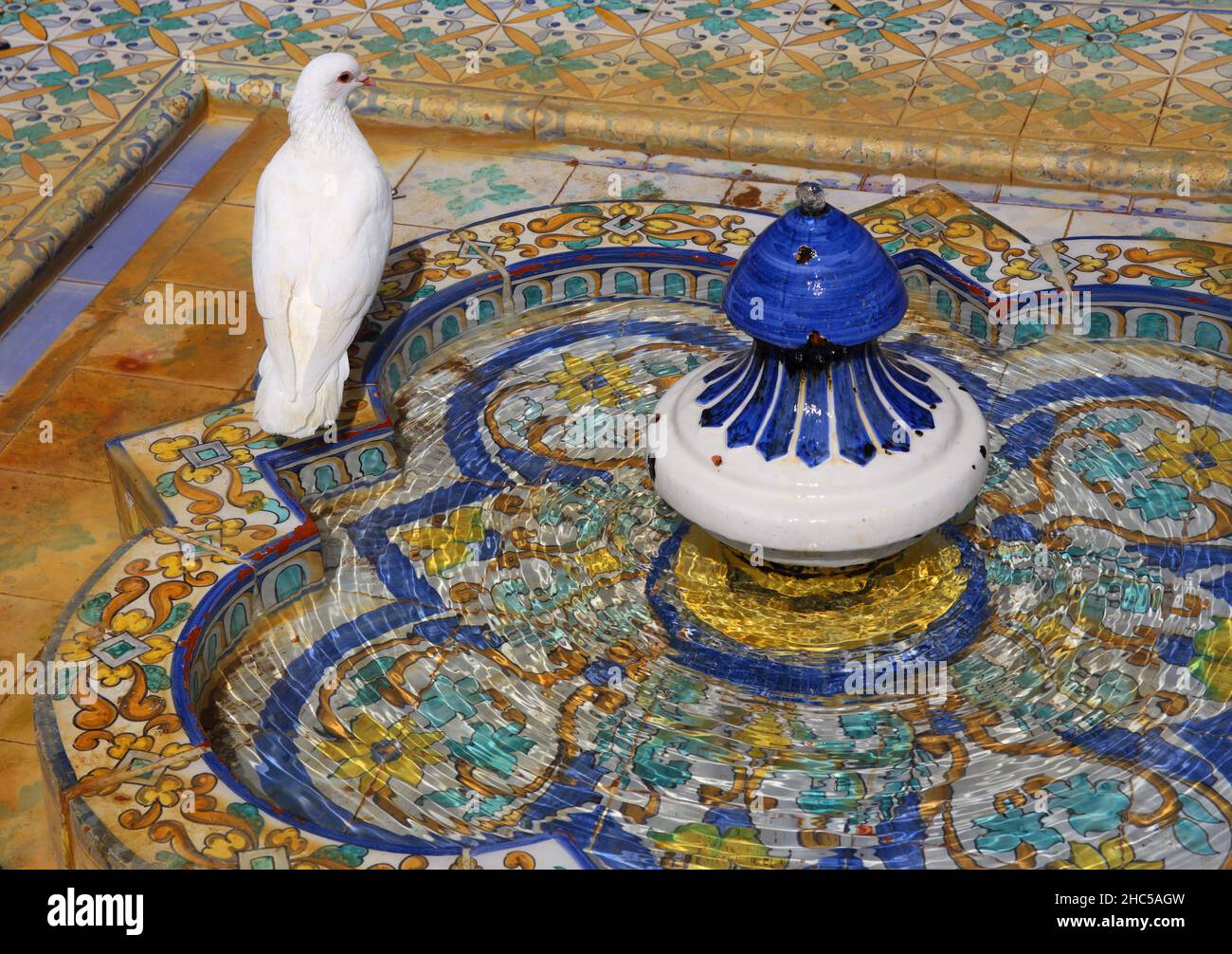 Intricate, colorful, ceramic fountain and white dove by the Arabesque Mudejar Pavilion, Maria Luisa Park, Seville, Andalusia, Spain. Stock Photo