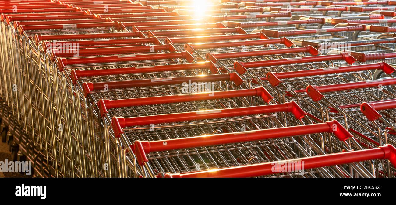 Rows with lots of shopping carts in a large supermarket Stock Photo Alamy