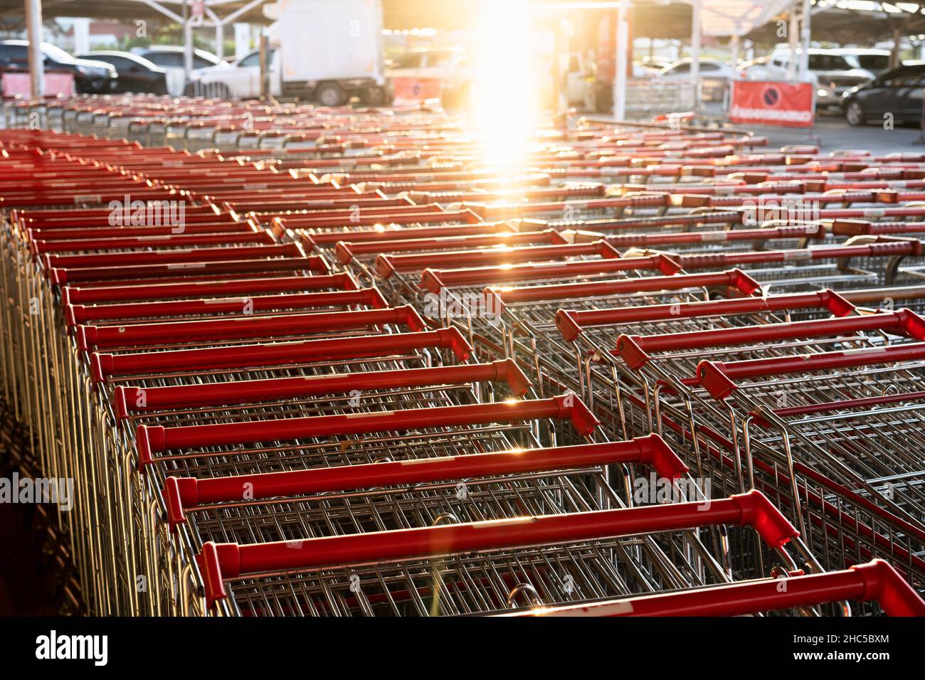 Rows with lots of shopping carts in a large supermarket Stock Photo Alamy