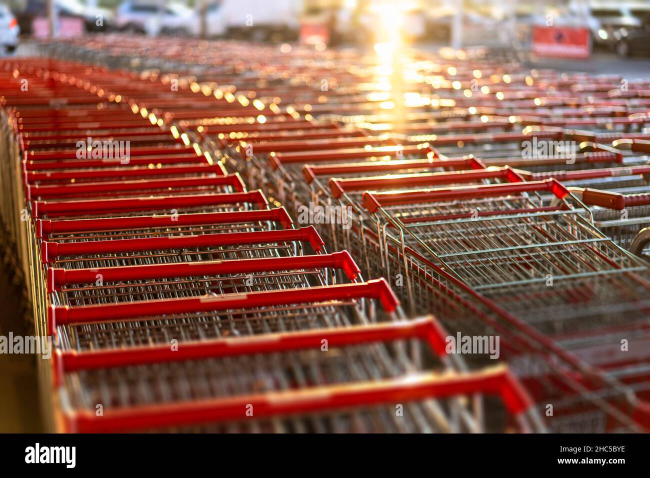 Rows with lots of shopping carts in a large supermarket Stock Photo Alamy