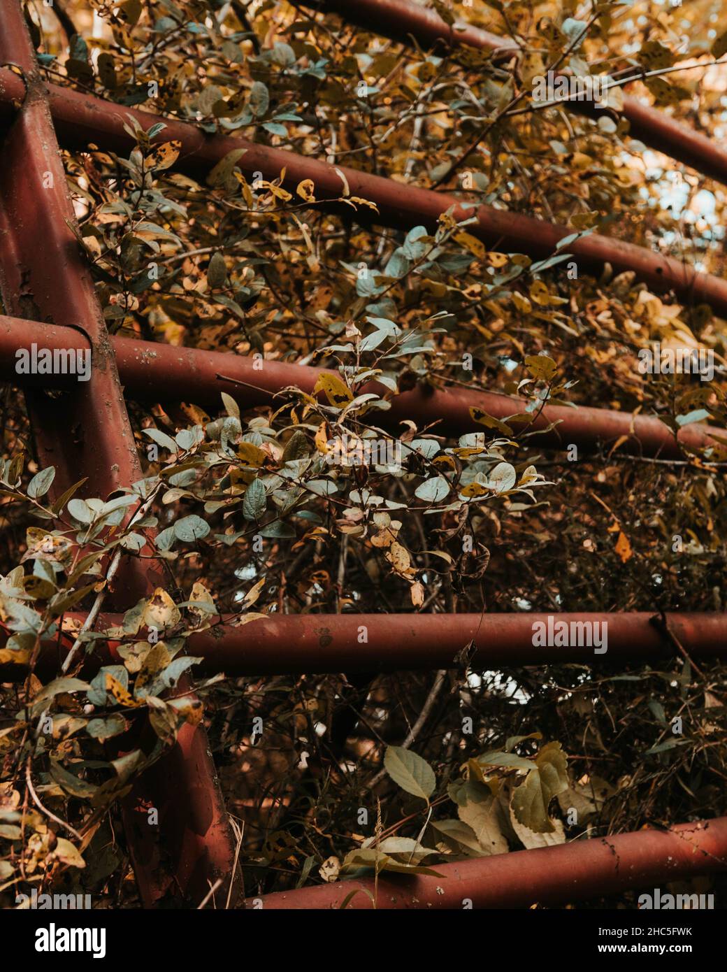 Border fence gate hi-res stock photography and images - Alamy