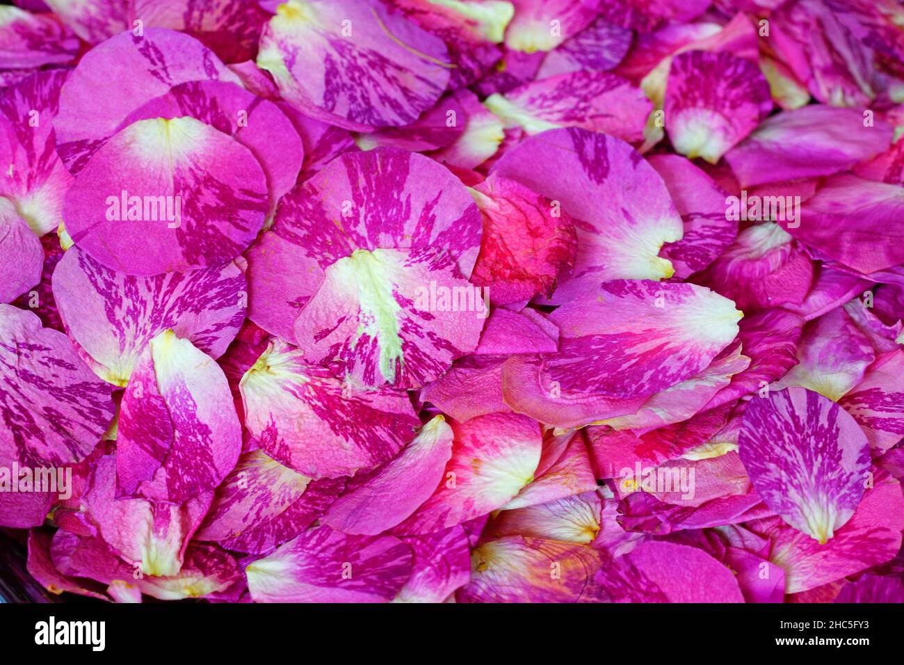 Rose Pressed Edible Flowers (Petals)