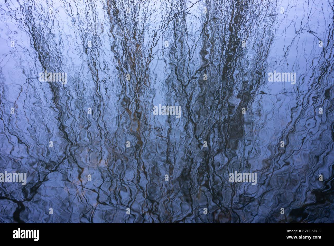 Reflections of a willow tree in a pond in Slindon Stock Photo