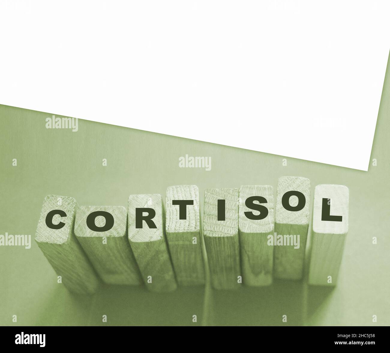 Cortisol word from wooden blocks. Medical concept. Stock Photo