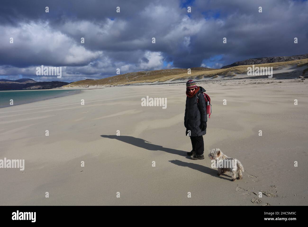 Auchan, the Westie, explores the west coast of the Isle of Harris - rugged headlands and sandy bays. Stock Photo
