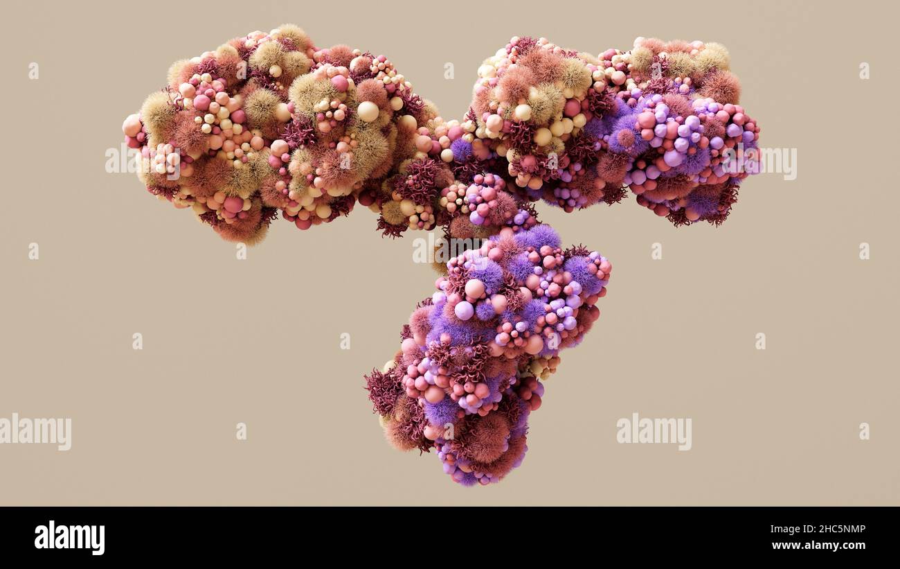 Illustration of an antibody, or immunoglobulin. This yshaped molecule