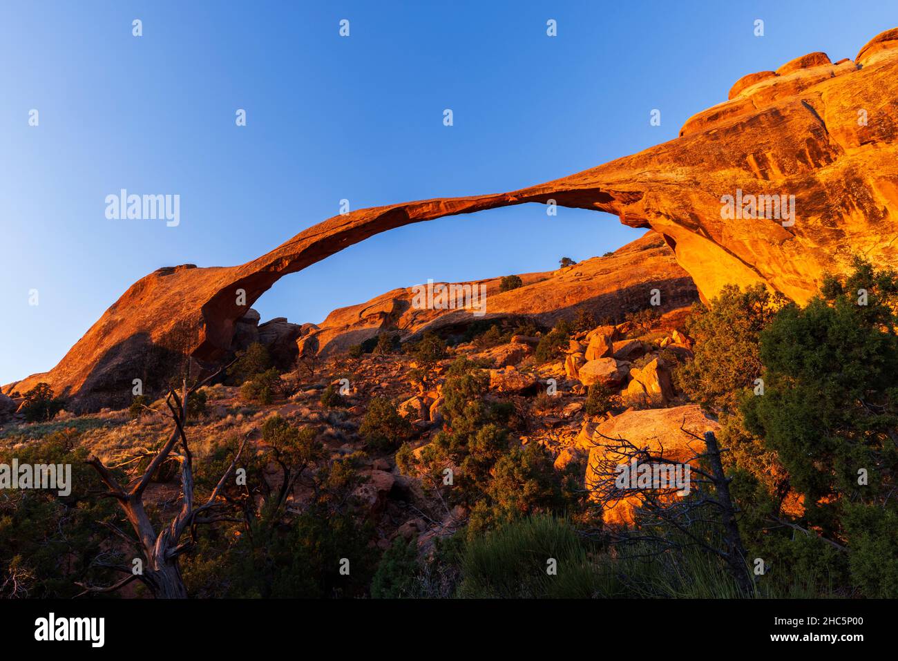 Landscape Arch (306 foot span) at sunrise in Arches National Park, Utah Stock Photo