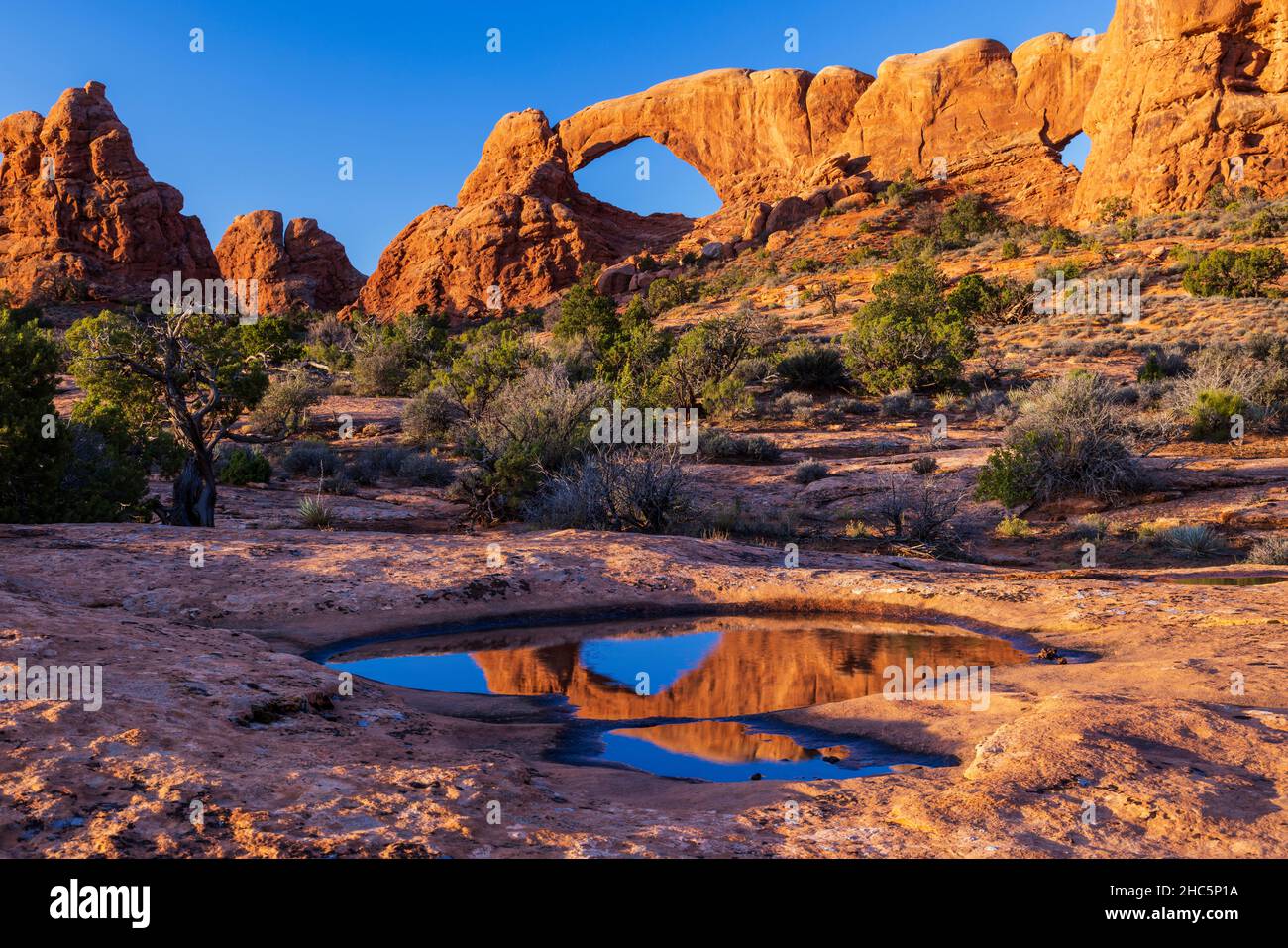 South Window reflection in a small pool in Arches National Park, Utah Stock Photo