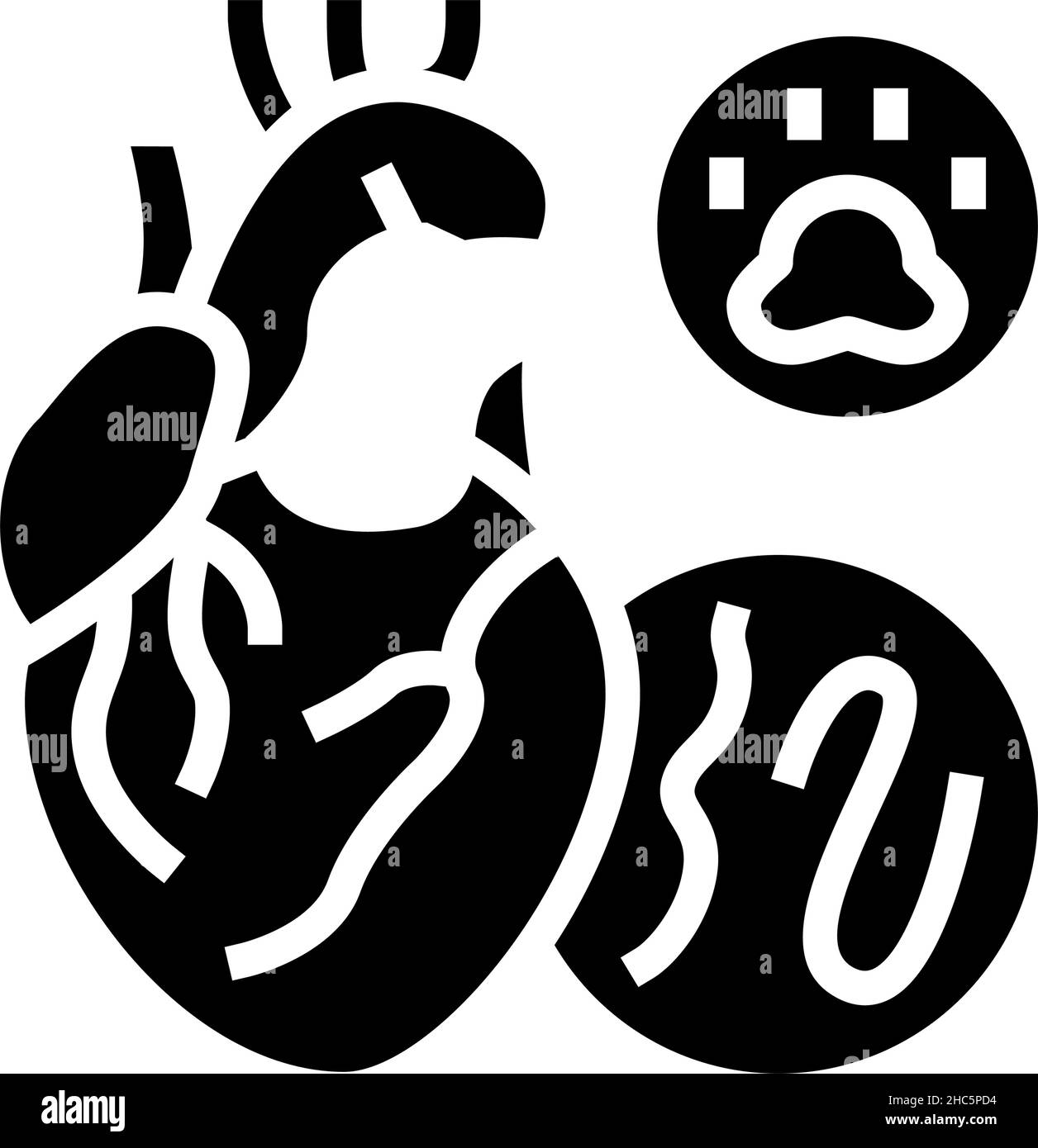heartworm disease glyph icon vector illustration Stock Vector Image ...