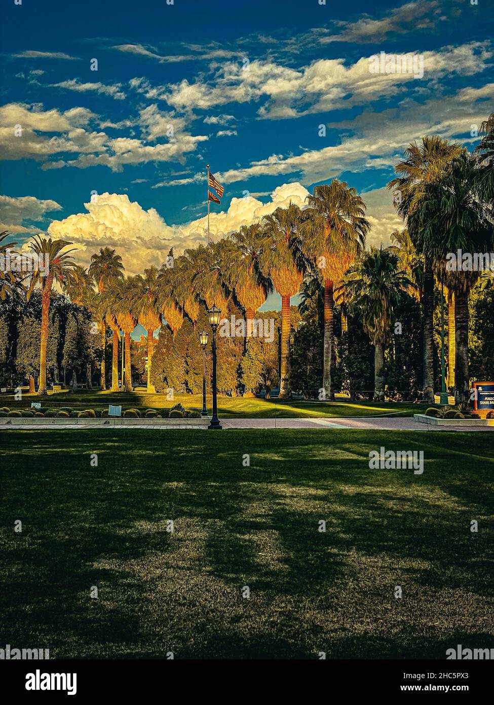 Shot palm trees park view hi-res stock photography and images - Alamy