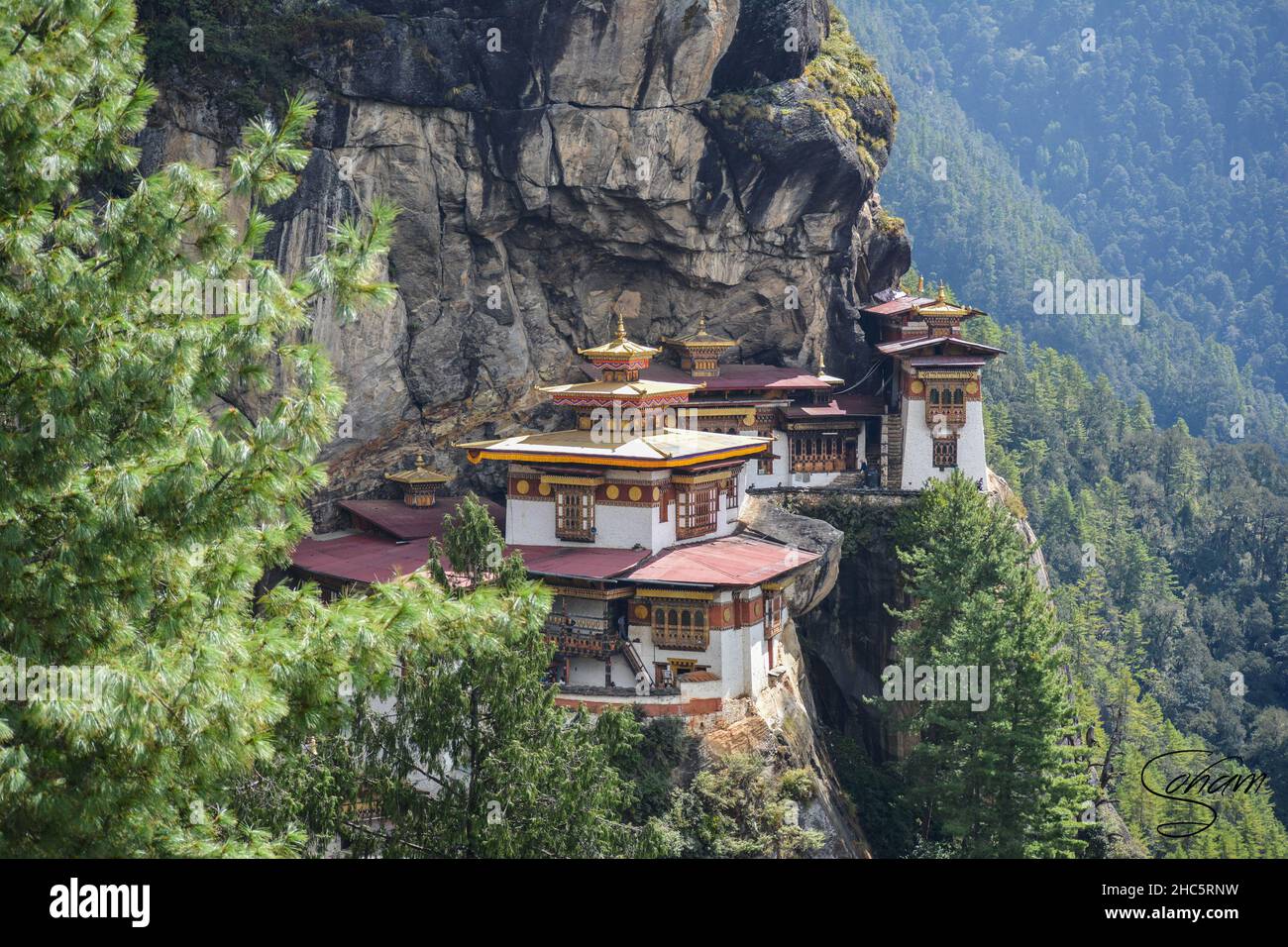 Aerial view of the beautiful Taktsang Palphug Monastery in Paro, Bhutan surrounded by greenery Stock Photo