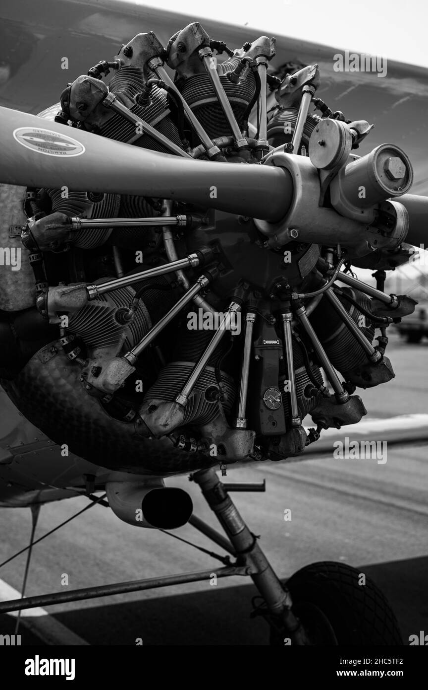 Vertical grayscale image of a radial engine of the military trainer ...