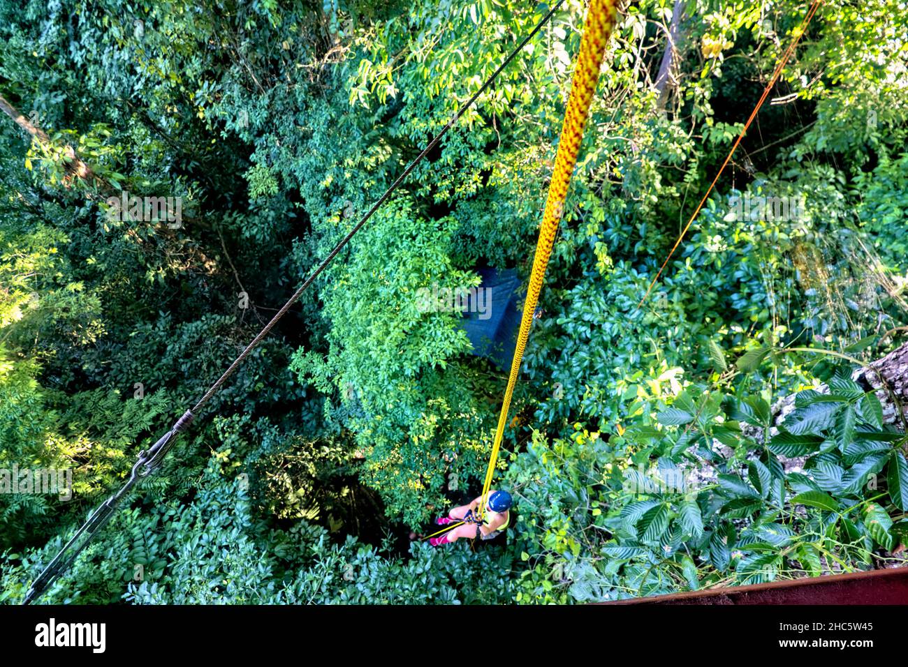 Climbing a rope to a jungle treehouse, Manzanillo, Costa Rica Stock