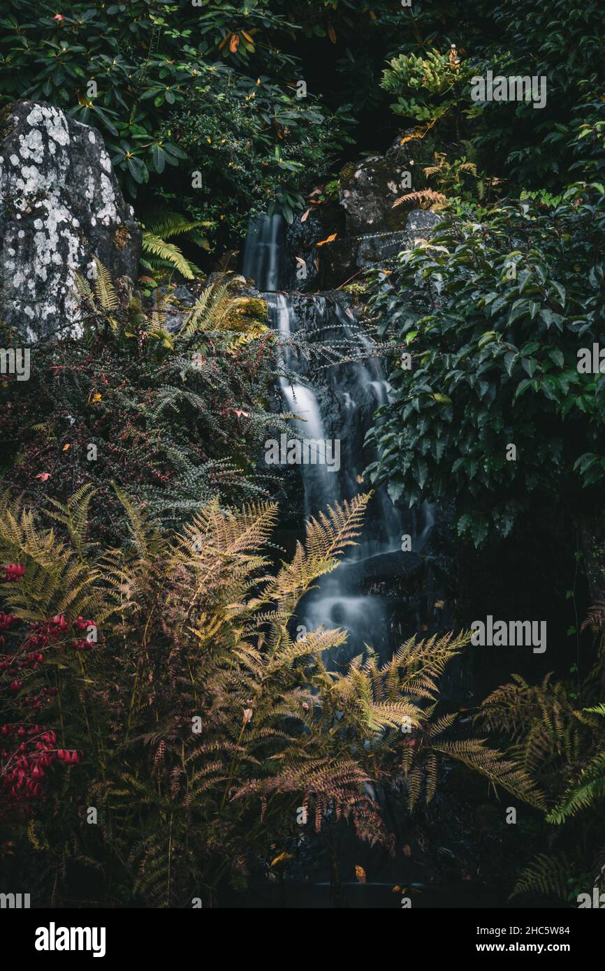 Vertical shot of a waterfall in the forest Stock Photo - Alamy