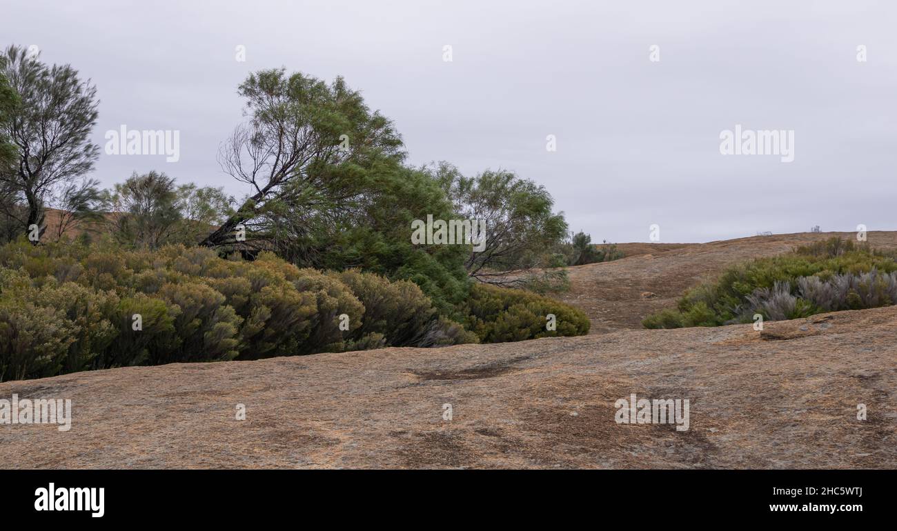 Wave rock australia hi-res stock photography and images - Alamy