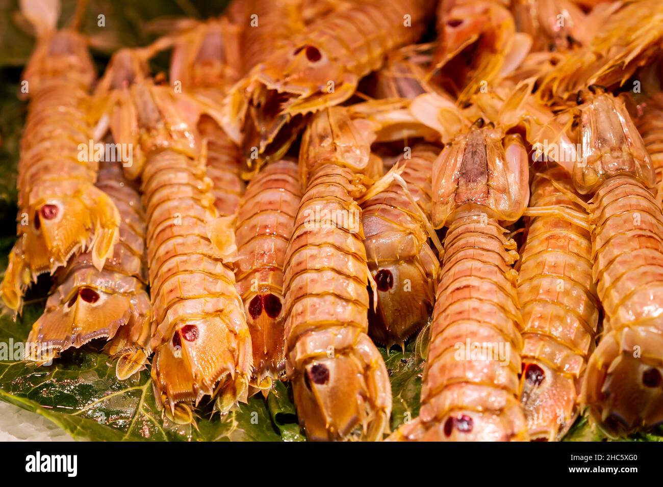 Close-up shot of the fresh galley on ice (Squilla mantis) in the Seafood store Stock Photo