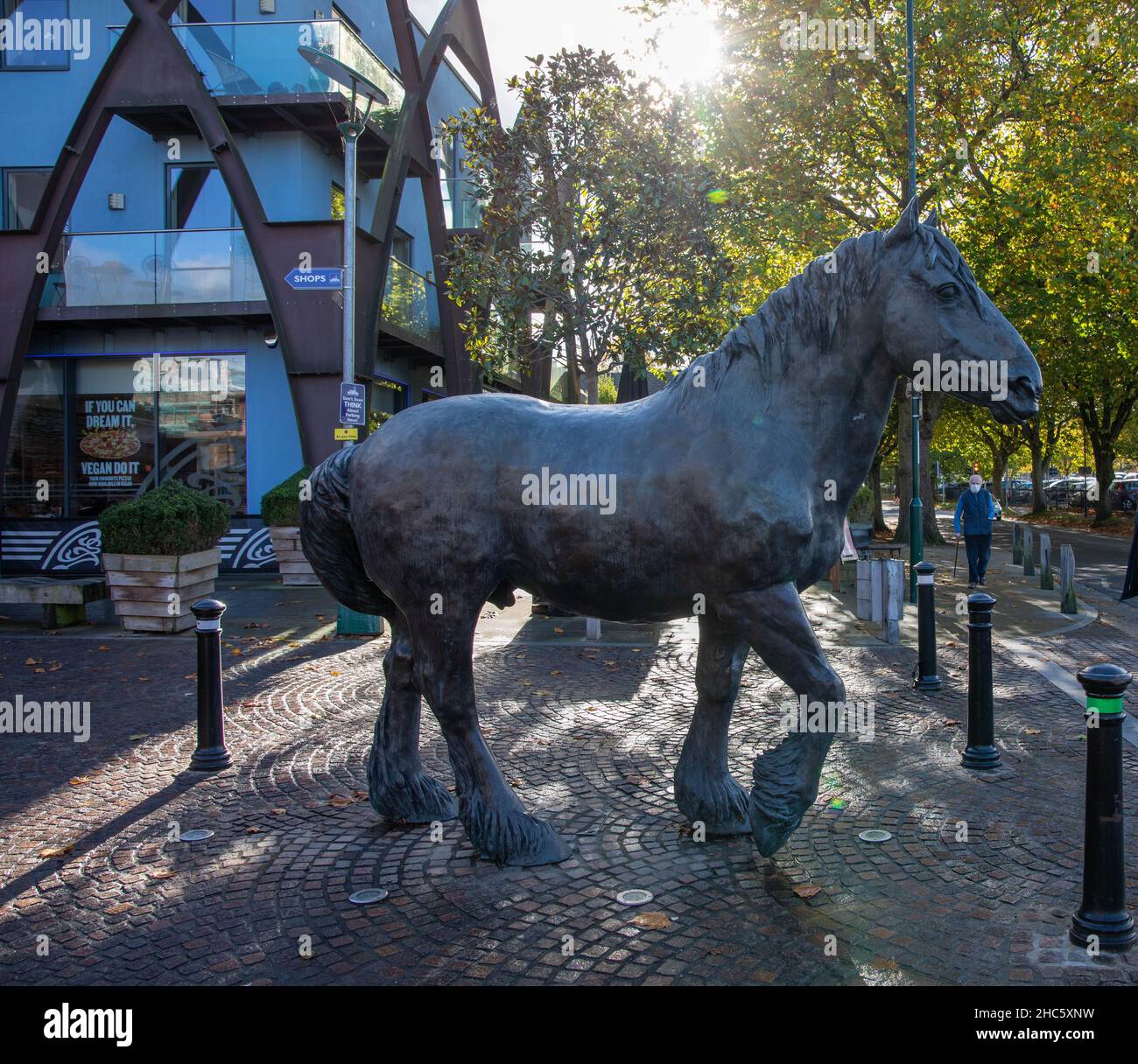 Horse sculpture 'Drummer' by Shirley Pace in the redeveloped Brewery Square Stock Photo