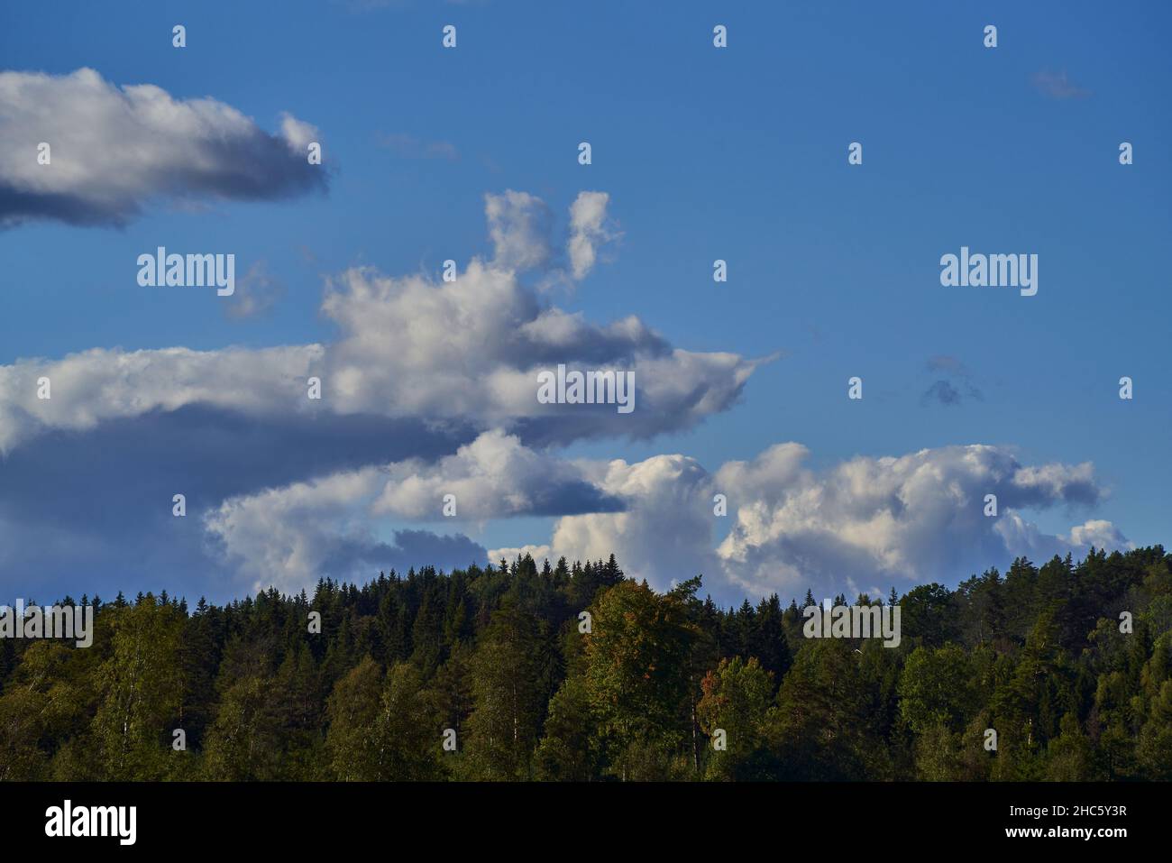 blue sky background with a tiny clouds Stock Photo