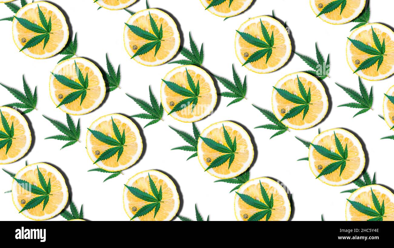 Pattern with Cannabis or hemp leafs with lemon, Marijuana terpenes concept Stock Photo