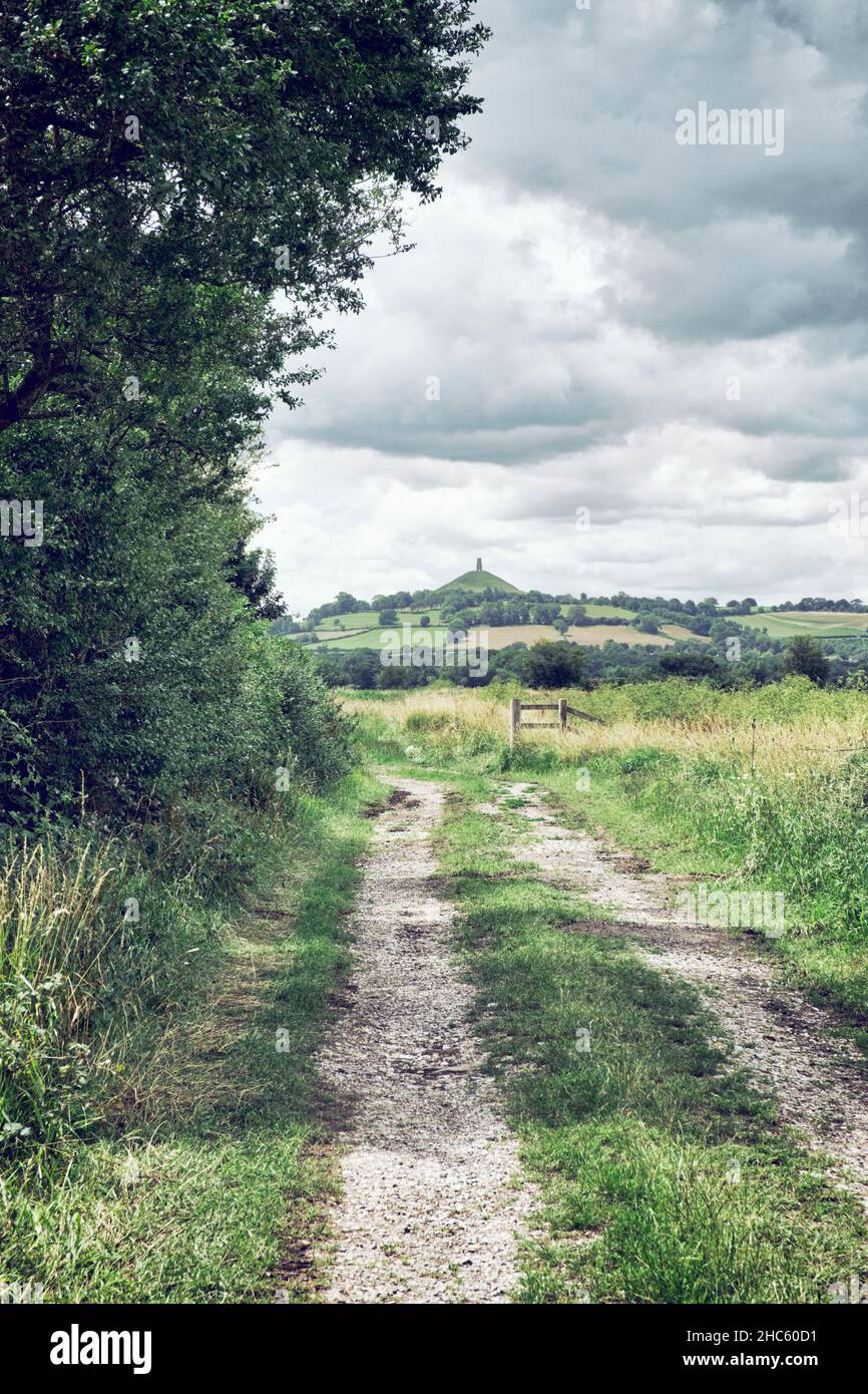 A farm track in a field with Glastonbury tor in the distance Stock Photo