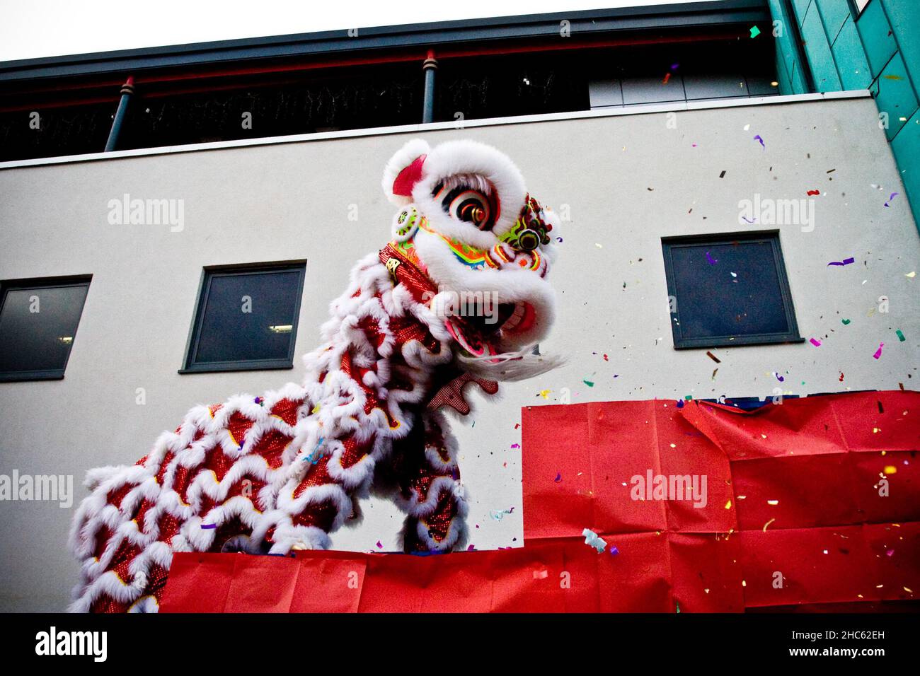 Colorful Chinese lion dancing during the Chinese new year celebration ...