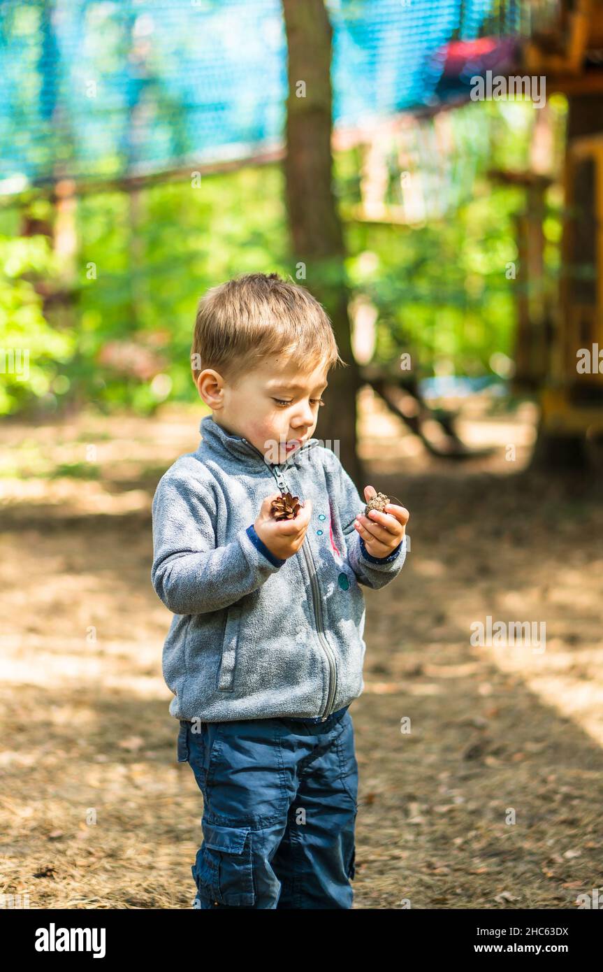 Cute little Polish boy holding pine corns while playing in a sunny Pyrlandia park in Poznan, Poland Stock Photo