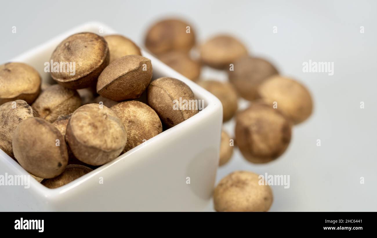 Strychnos potatorum also known as clearing-nut tree. Nirmali seeds commonly used in traditional medicine as well as for purifying water. Stock Photo