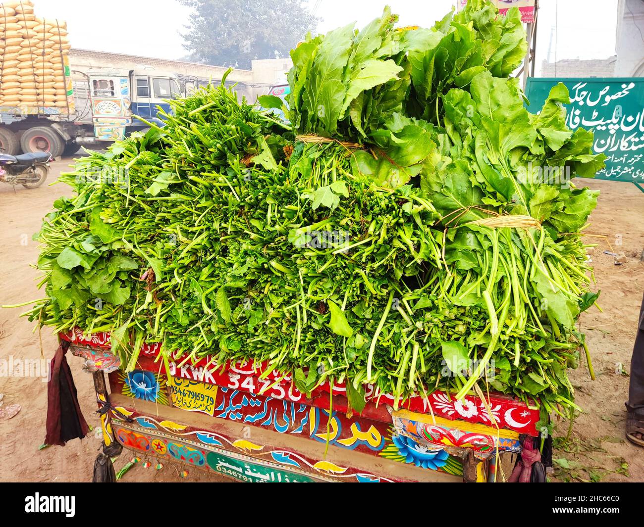 picture of spinach for sale in market Spinach is a leafy green
