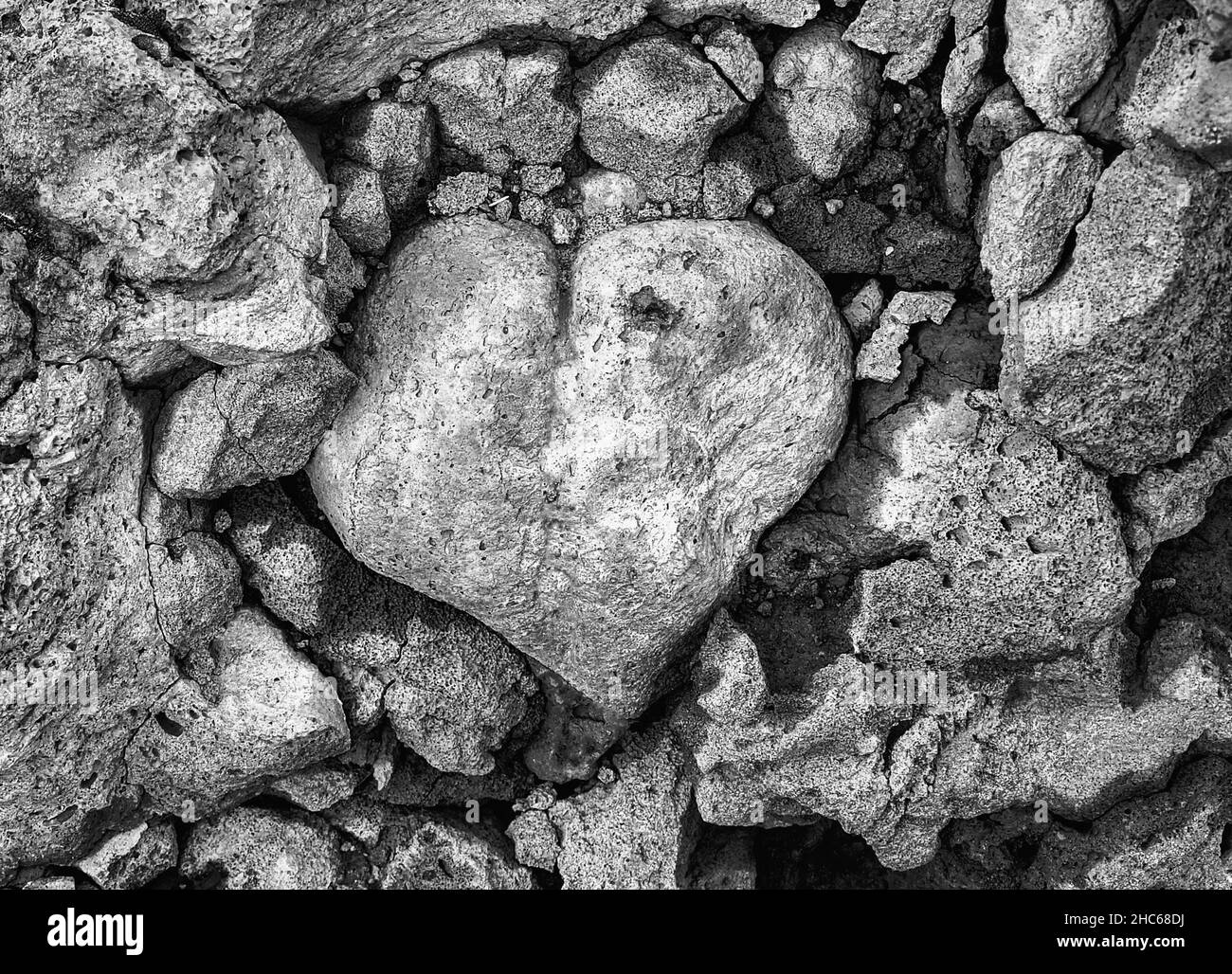Closeup shape Black and White Stock Photos & Images - Alamy