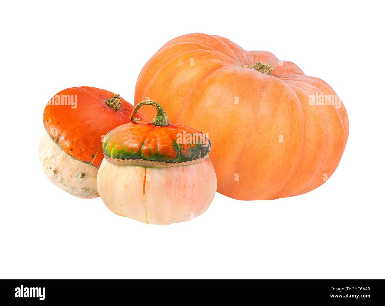 Pumpkins isolated over a white background Stock Photo - Alamy
