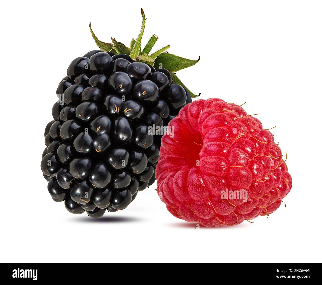 Blackberry and raspberries isolated on white background Stock Photo Alamy