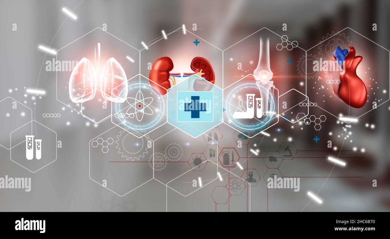 Background with medical symbols and human organs as a concept of health and well-being. Medical future technology and innovative concept. Mixed Media Stock Photo