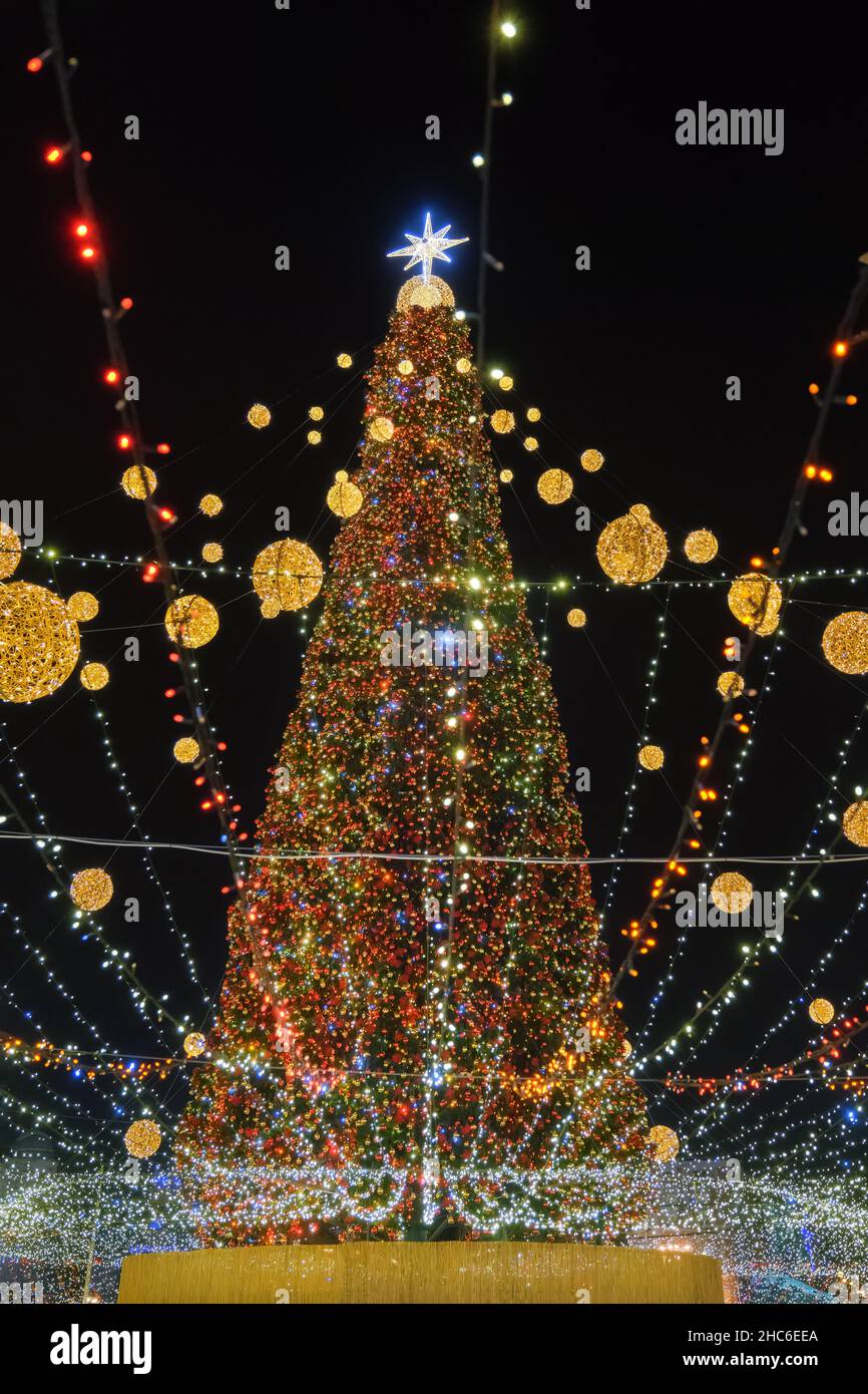 How Many Lights Are On The National Christmas Tree In 2022 Tree Of The Year 2022 High Resolution Stock Photography And Images - Alamy