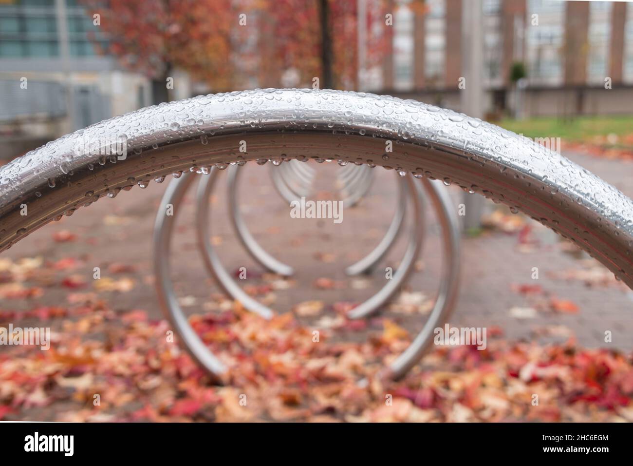 Close-up shot of the raindrop on a bench Stock Photo