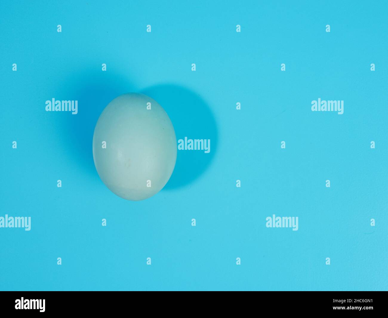 blue egg isolated on a blue background. Stock Photo