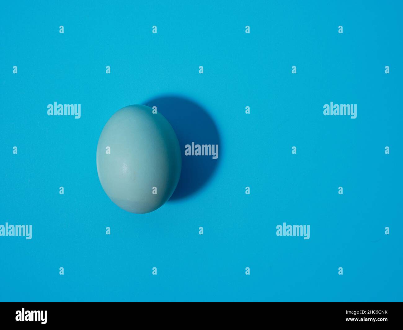 blue egg isolated on a blue background. Stock Photo