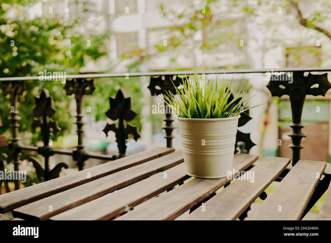 Decorative grass in flower pot stands on wooden table on balcony