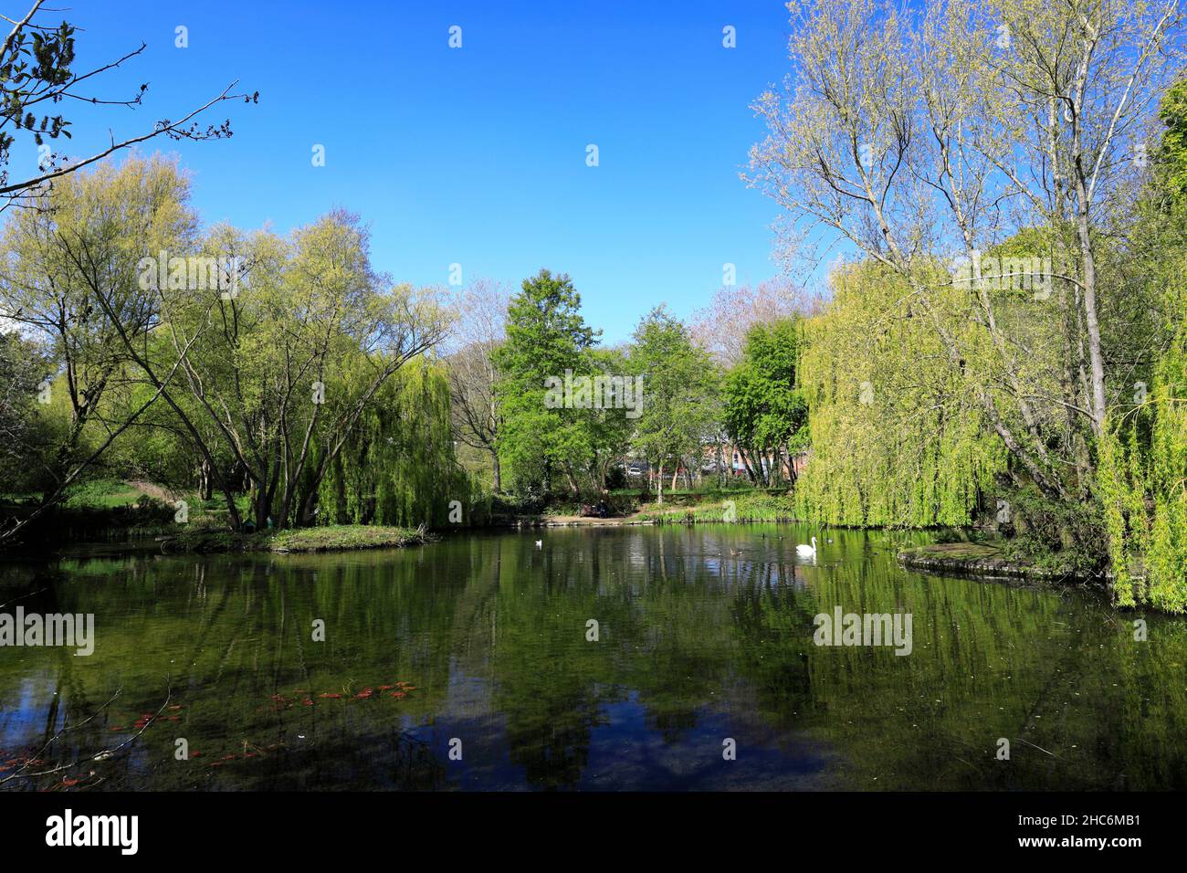 The lake in Priors Close park, Melton Mowbray, Leicestershire, England; Britain; UK Stock Photo