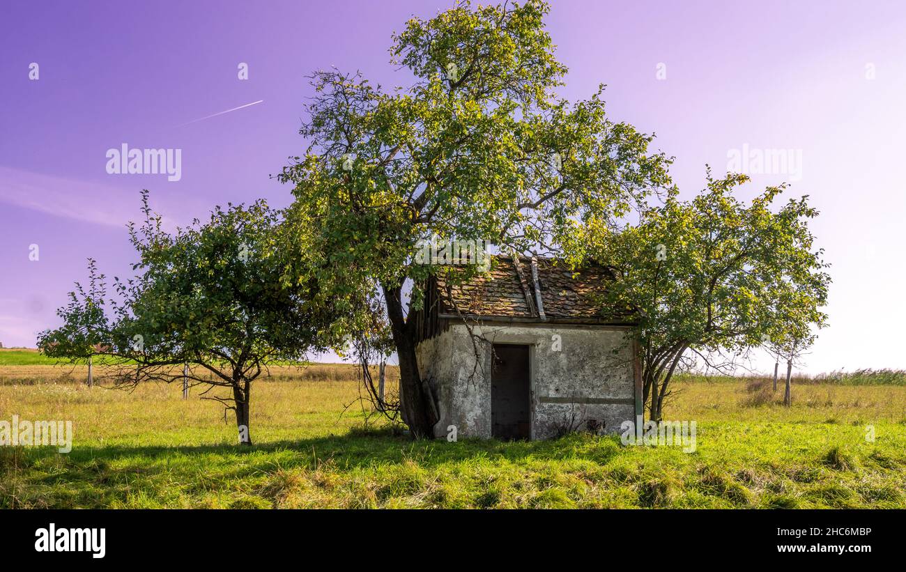 Beautiful scene of a rural old house on green grass surrounded by green