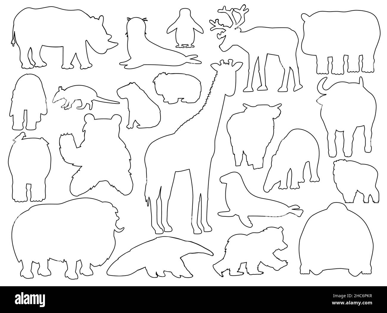 Set of silhouette animals. Vector outline cartoon isolated graphic hand drawn illustration. Giraffe bear orangutan ox rhino wombat highland cow seal Stock Vector