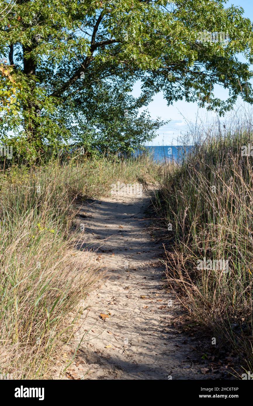 Sand dune pathway leading to blue Lake Erie, oak tree on side. Stock Photo