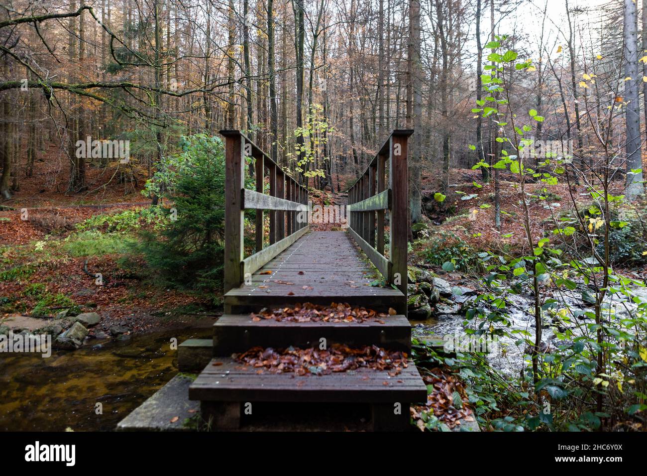 Old wooden bridge in the middle of the forest among a river in autumn ...