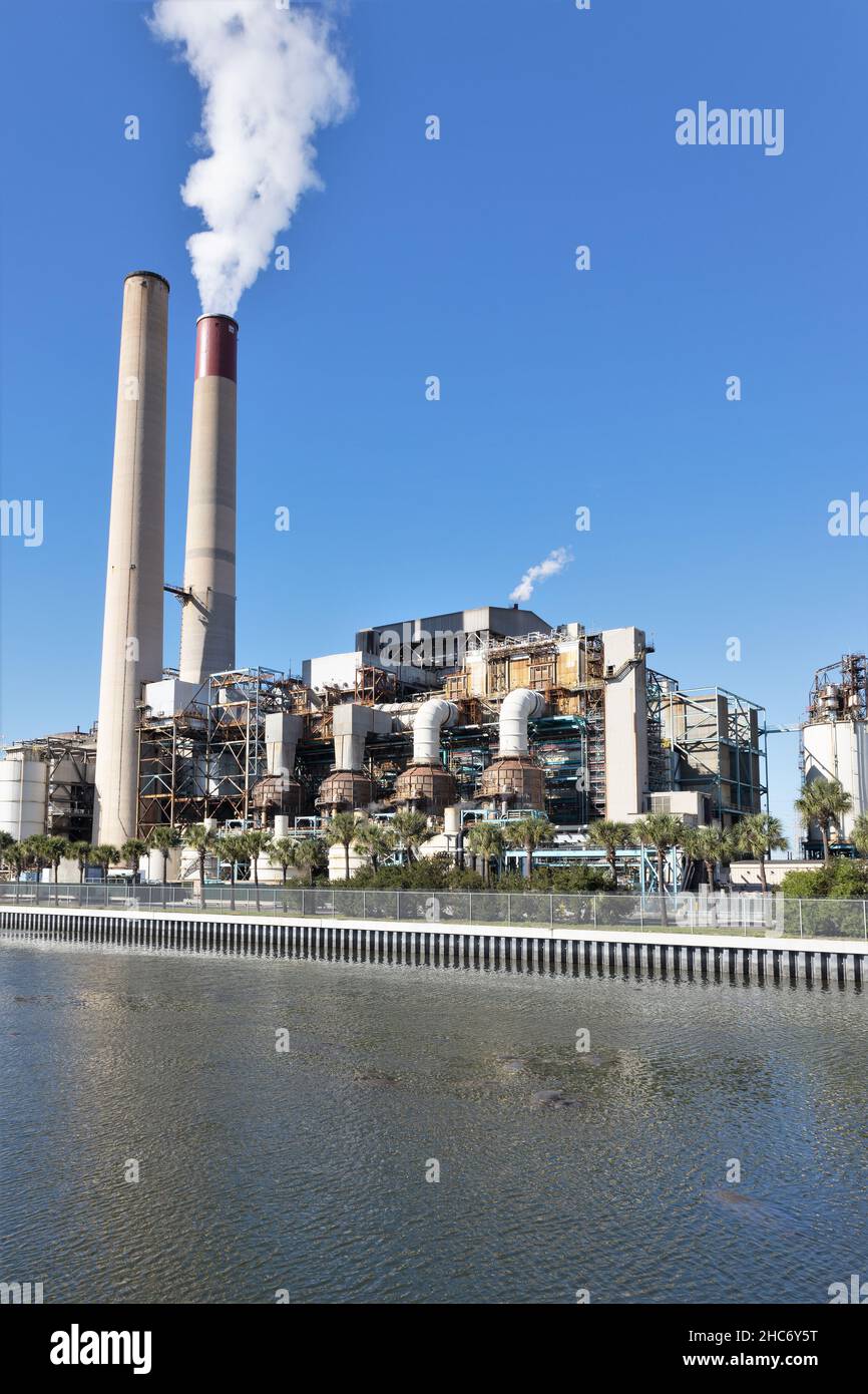 Florida tampa electric manatee hires stock photography and images Alamy