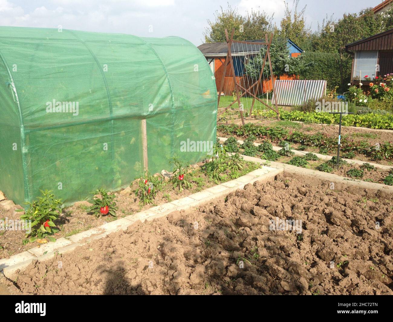 Greenhouse near the ground in the summertime. Stock Photo