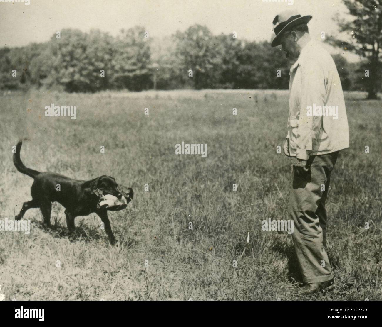 Dog trainer during exercise, USA 1950s Stock Photo